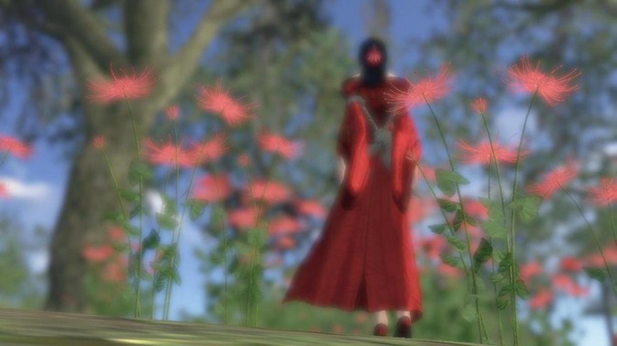 Caddy 和 Nginx 比有哪些优点和缺点？